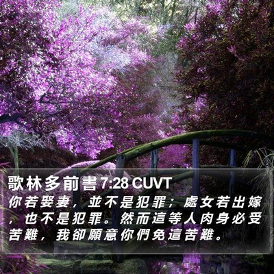 歌 林 多 前 書 7:28 CUVT Bible Verse Image