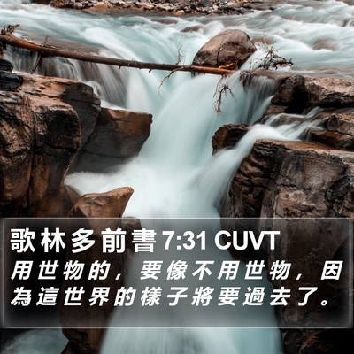 歌 林 多 前 書 7:31 CUVT Bible Verse Image