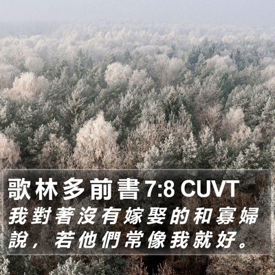 歌 林 多 前 書 7:8 CUVT Bible Verse Image