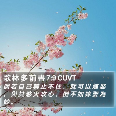 歌 林 多 前 書 7:9 CUVT Bible Verse Image