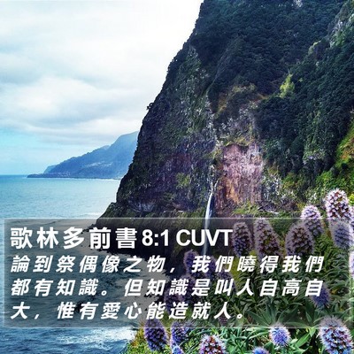 歌 林 多 前 書 8:1 CUVT Bible Verse Image