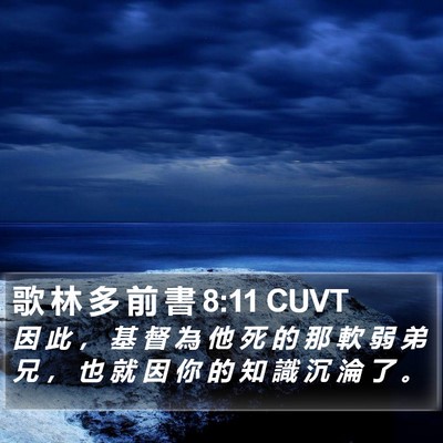 歌 林 多 前 書 8:11 CUVT Bible Verse Image