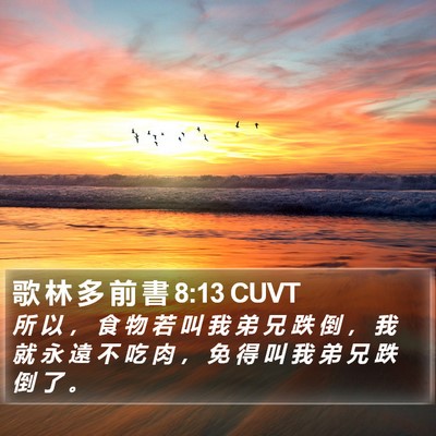 歌 林 多 前 書 8:13 CUVT Bible Verse Image