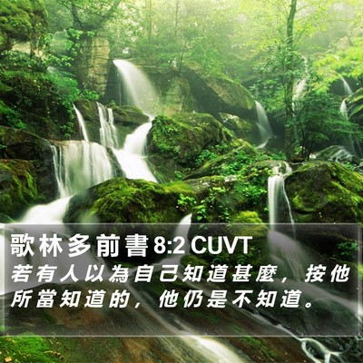 歌 林 多 前 書 8:2 CUVT Bible Verse Image