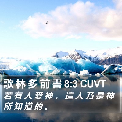 歌 林 多 前 書 8:3 CUVT Bible Verse Image