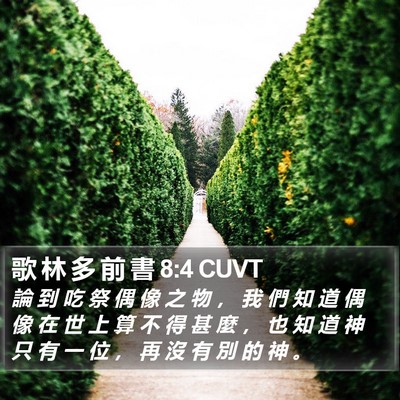 歌 林 多 前 書 8:4 CUVT Bible Verse Image