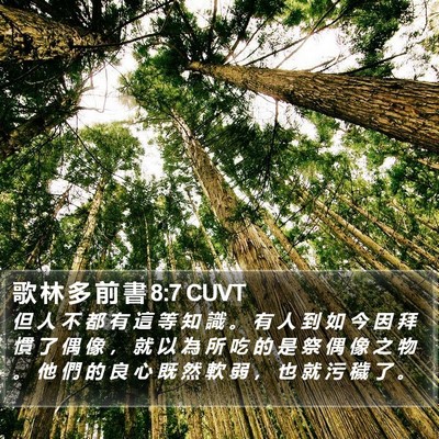 歌 林 多 前 書 8:7 CUVT Bible Verse Image