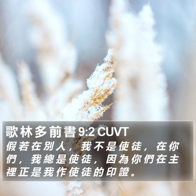 歌 林 多 前 書 9:2 CUVT Bible Verse Image