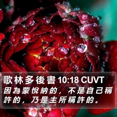 歌 林 多 後 書 10:18 CUVT Bible Verse Image