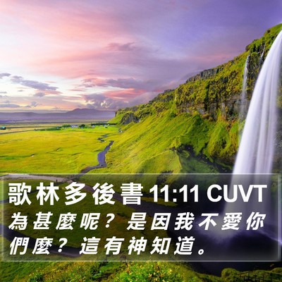 歌 林 多 後 書 11:11 CUVT Bible Verse Image