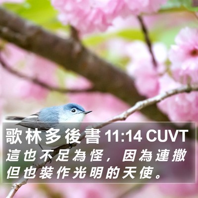 歌 林 多 後 書 11:14 CUVT Bible Verse Image