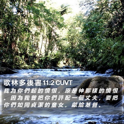 歌 林 多 後 書 11:2 CUVT Bible Verse Image