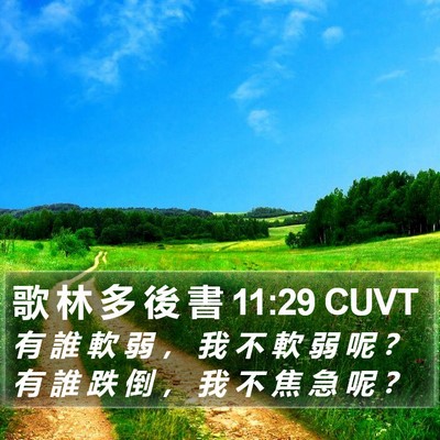 歌 林 多 後 書 11:29 CUVT Bible Verse Image
