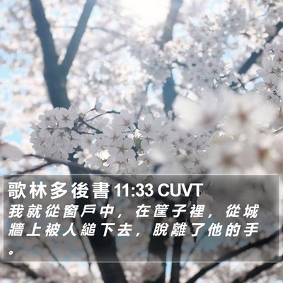 歌 林 多 後 書 11:33 CUVT Bible Verse Image