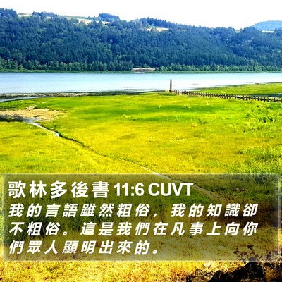 歌 林 多 後 書 11:6 CUVT Bible Verse Image