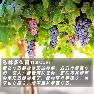 歌 林 多 後 書 11:9 CUVT Bible Verse Image