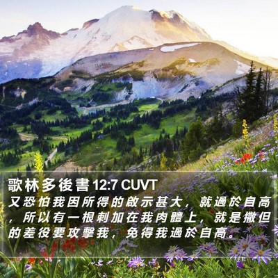 歌 林 多 後 書 12:7 CUVT Bible Verse Image