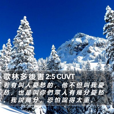 歌 林 多 後 書 2:5 CUVT Bible Verse Image