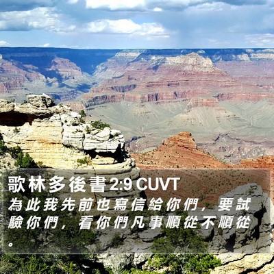 歌 林 多 後 書 2:9 CUVT Bible Verse Image