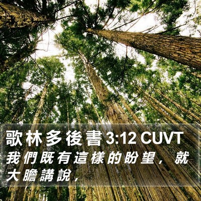 歌 林 多 後 書 3:12 CUVT Bible Verse Image