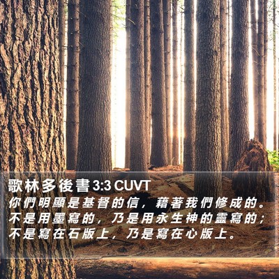 歌 林 多 後 書 3:3 CUVT Bible Verse Image