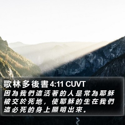 歌 林 多 後 書 4:11 CUVT Bible Verse Image