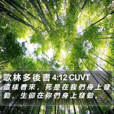 歌 林 多 後 書 4:12 CUVT Bible Verse Image