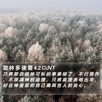 歌 林 多 後 書 4:2 CUVT Bible Verse Image