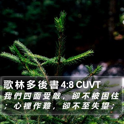 歌 林 多 後 書 4:8 CUVT Bible Verse Image