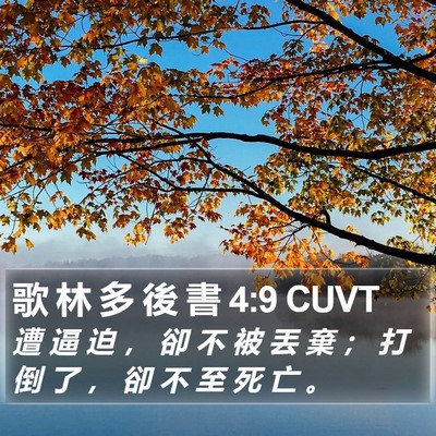 歌 林 多 後 書 4:9 CUVT Bible Verse Image
