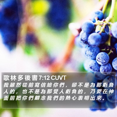 歌 林 多 後 書 7:12 CUVT Bible Verse Image