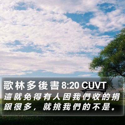 歌 林 多 後 書 8:20 CUVT Bible Verse Image