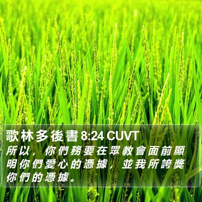 歌 林 多 後 書 8:24 CUVT Bible Verse Image