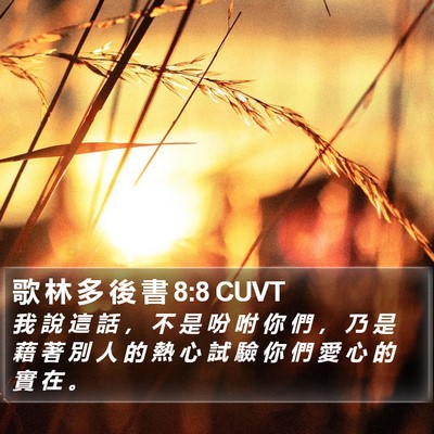 歌 林 多 後 書 8:8 CUVT Bible Verse Image