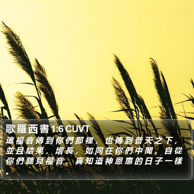 歌 羅 西 書 1:6 CUVT Bible Verse Image