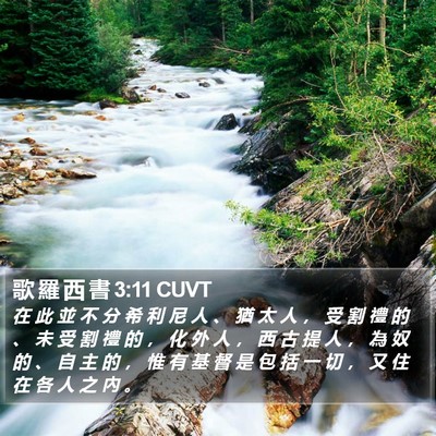 歌 羅 西 書 3:11 CUVT Bible Verse Image