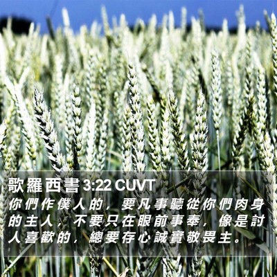 歌 羅 西 書 3:22 CUVT Bible Verse Image