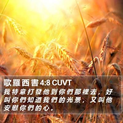 歌 羅 西 書 4:8 CUVT Bible Verse Image