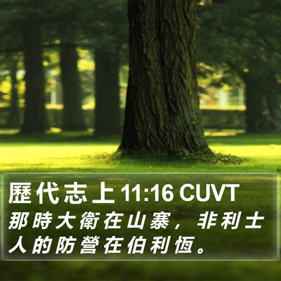 歷 代 志 上 11:16 CUVT Bible Verse Image