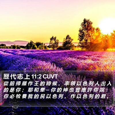 歷 代 志 上 11:2 CUVT Bible Verse Image