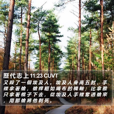 歷 代 志 上 11:23 CUVT Bible Verse Image