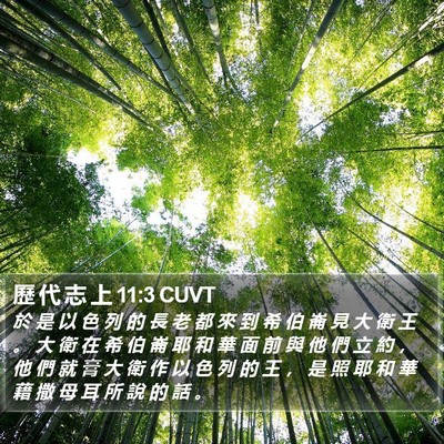 歷 代 志 上 11:3 CUVT Bible Verse Image
