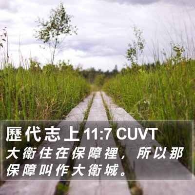 歷 代 志 上 11:7 CUVT Bible Verse Image