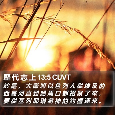 歷 代 志 上 13:5 CUVT Bible Verse Image