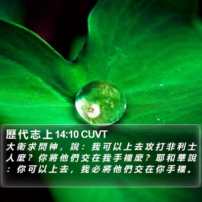 歷 代 志 上 14:10 CUVT Bible Verse Image