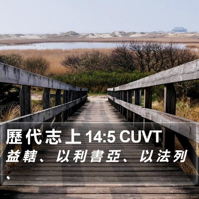 歷 代 志 上 14:5 CUVT Bible Verse Image