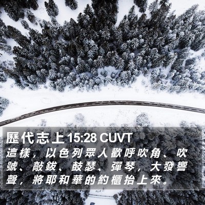 歷 代 志 上 15:28 CUVT Bible Verse Image