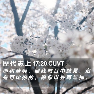 歷 代 志 上 17:20 CUVT Bible Verse Image