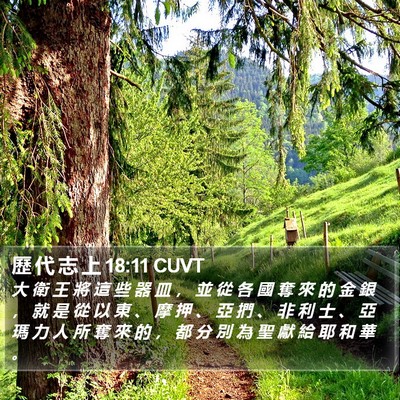 歷 代 志 上 18:11 CUVT Bible Verse Image