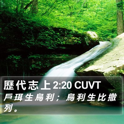 歷 代 志 上 2:20 CUVT Bible Verse Image